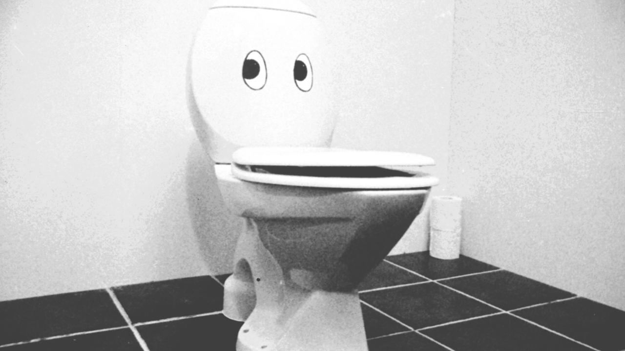 Toilet life Danish Film Institute